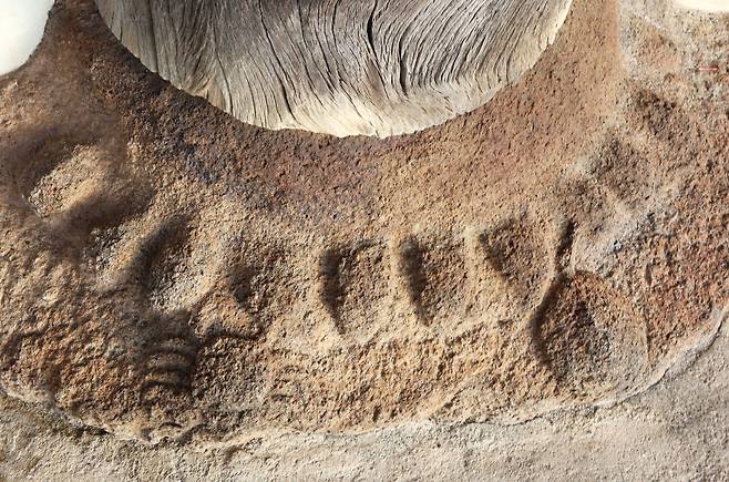 미황사 대웅보전 주춧돌에 새겨진 게와 거북이.