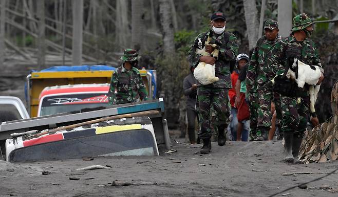 인도네시아 군인들이 6일 스메루 화산 폭발 지역에서 양 등 가축들을 안고 대피시키고 있다. 왼쪽에 화산재에 깊이 묻힌 자동차들이 보인다. 로이터=연합뉴스