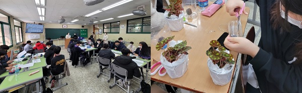 신성중학교 학생들이 기후변화 협상게임 활동(왼쪽)과 국립세종수목원이 협찬한 양묘증식체험수업에 참여하고 있다. (사진=신성중학교)