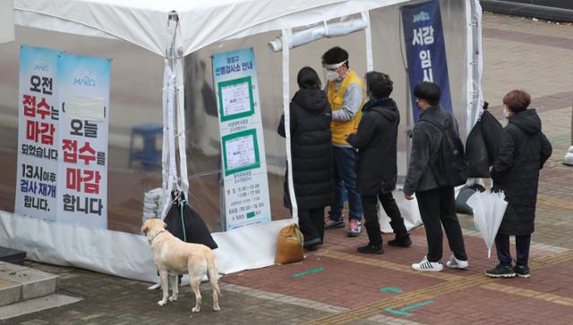 10일 서울 마포구 서강 코로나19 선별진료소에서 한 반려견이 검사를 받고 있는 반려인을 기다리고 있다. 연합뉴스