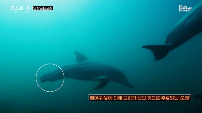 [출처: 라스트 씨]