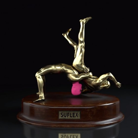 힙합 뮤지션 마미손의 디지털 콘텐츠 ‘수플렉스 더 트로피(Suflex the trophy)’. 지난 11월 14일 디지털 자산 수집 플랫폼 '파운데이션'에서 11.1818ETH(약 6000만원)에 판매됐다. [사진 파운데이션 캡처]
