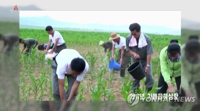 2017년 가뭄 당시 말라붙은 논밭에 직접 물을 주는 북한 주민들 [연합뉴스 자료사진]