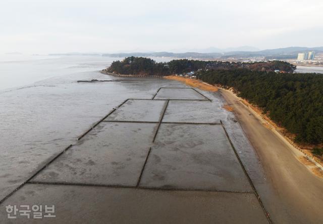 한때 서천을 대표하는 모래찜질 장소였던 장항송림 해안에 모래 포집 시설이 설치돼 있다.