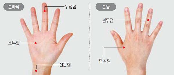 손 혈 자리./사진=헬스조선 DB