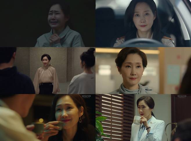 JTBC 드라마 ‘구경이’(위), tvN 드라마 ‘해피니스’ (중간), 웨이브 ‘우리는 지금 청와대로 간다’에 동시 출연한 배우 배해선.