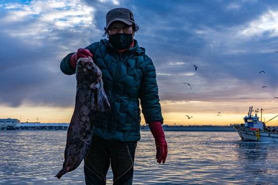 못난이 생선으로 유명한 곰치(미거지). 겨울철 동해안에서만 나는 귀한 어종이다.