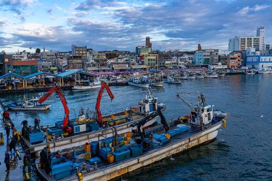 강릉 주문진항의 아침. 잡아올린 해산물을 부려놓는 고깃배와 상인들로 분주한 모습이다.