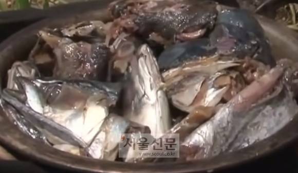 생선대가리 카레 모습(사진=MBN 나는 자연인이다 영상캡처)