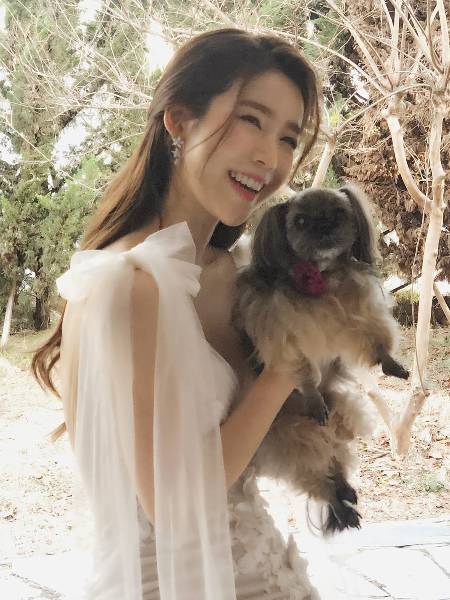 다롱이는 아픔 없는 곳에서 신나게 행복하게 뛰어놀다가, 보호자님이 하늘나라에 가면 가장 먼저 뛰어나와 반길 거라고./사진=독자님 제공.