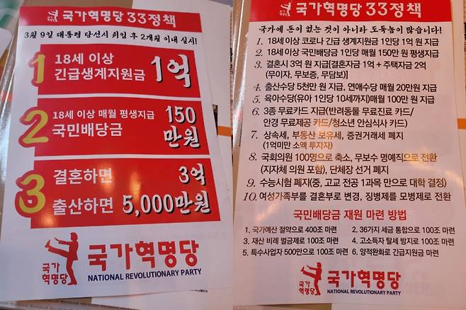국가혁명당 33정책 전단지 /사진=온라인 커뮤니티