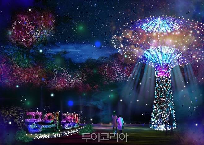 별빛산책 꿈의 정원