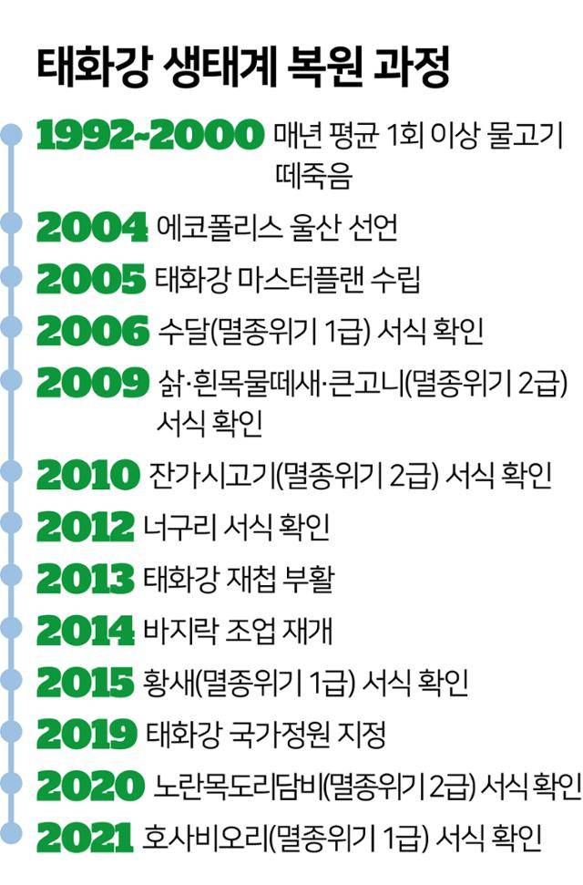 그래픽=김문중 기자