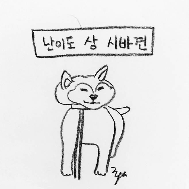 해피펫툰 시바견 © 뉴스1