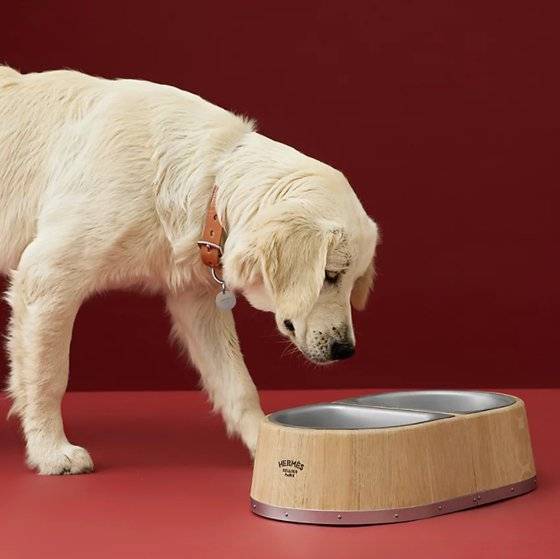 에르메스의 반려견 밥그릇은 153만원에 판매되고 있다. [에르메스 홈페이지 캡처]