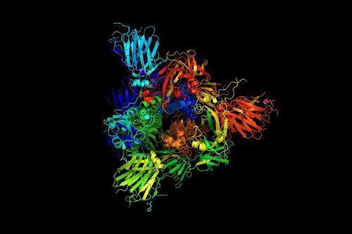 끝없이 진동하는 스파이크 단백질 이미지 [MIT Markus Buehler & Yiwen Hu. 재판매 및 DB 금지]