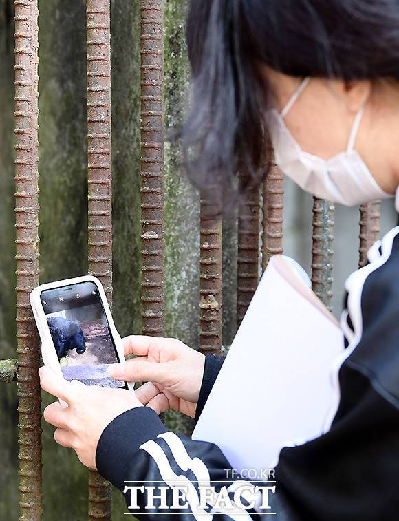 직접 만져보고 확인할 수 없는 곰의 상태를 사진으로 찍어 살피고 있다.