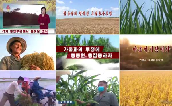 ▲조선중앙TV 12월 18일 ‘특집-알곡증산을 위해 달려 온 2021년’