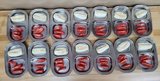 제공된 과일 [서울시 제공. 재판매 및 DB 금지]