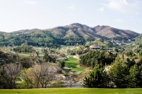 자연친화적으로 조성돼 마치 식물원에 와있는 착각을 불러일으키는 세이지우드CC 홍천