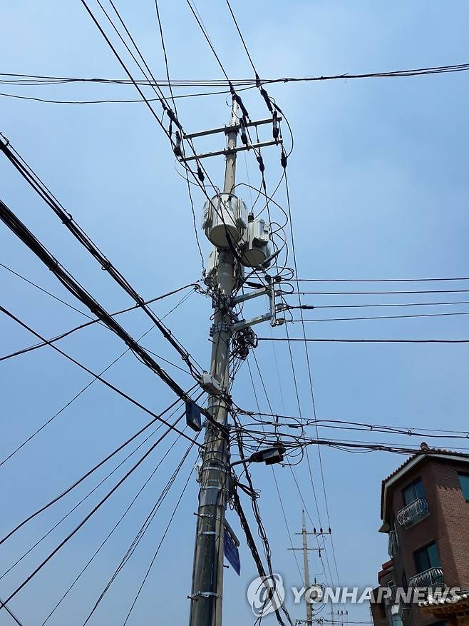 전봇대 [촬영 안철수]
