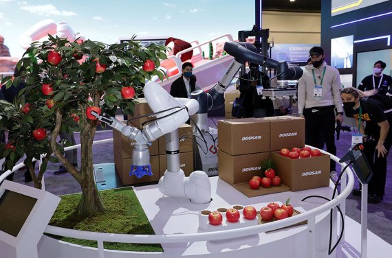두산로보틱스 협동로봇이 스마트팜에서 자란 나무에서 사과를 수확하고 포장하는 모습.