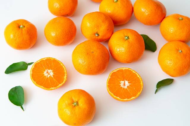 귤, 감, 바나나, 토마토 등은 아침 식사 대용으로 먹지 않는 것이 좋다./사진=클립아트코리아