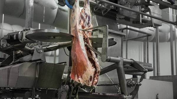 스콧테크놀로지가 개발한 양고기 발골 기계 [스터프 사이트 캡처, 재판매 및 DB 금지]