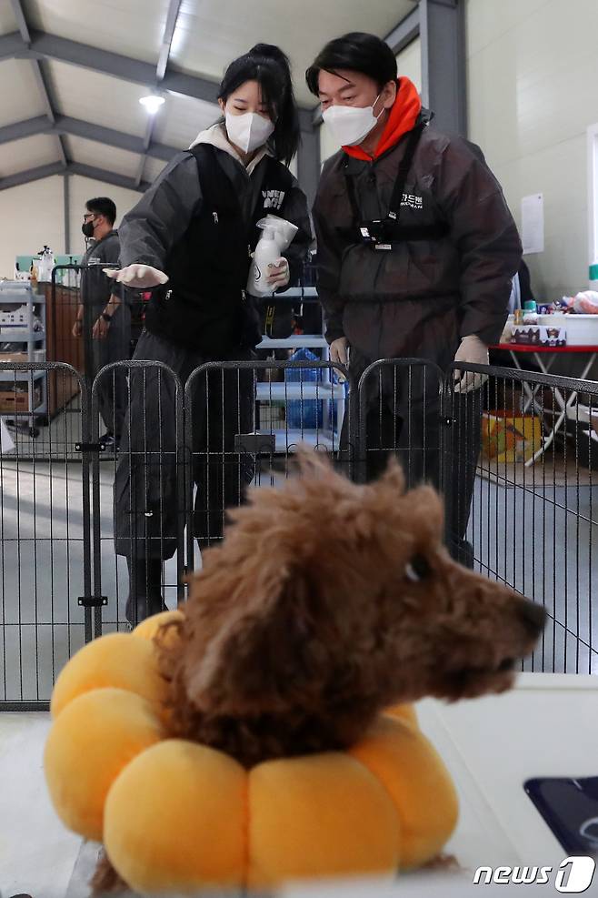 안철수 국민의당 대선 후보가 7일 오전 남양주시 동물보호단체 위액트 남양주 대피소에서 '안철수를 팝니다' 철수마켓의 일환으로 구조견 봉사활동 전 자원봉사자에게 설명을 듣고 있다. 2022.1.7/뉴스1 © News1 이승배 기자