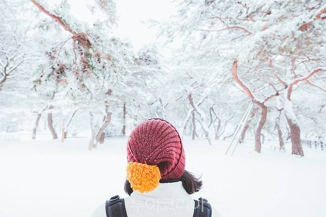 의림지의 겨울/ 사진-제천시
