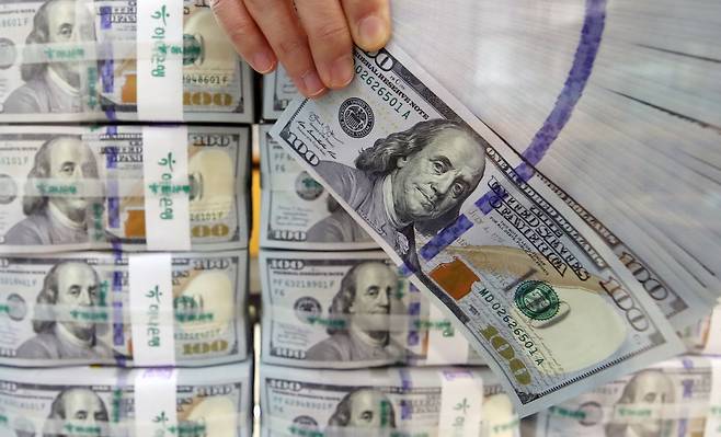 서울 중구 하나은행 본점 위변조대응센터의 달러화. /연합뉴스