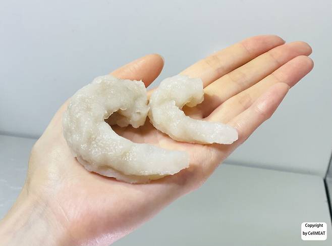 한국의 셀미트가 개발한 배양육 독도새우 시제품. 셀미트 제공