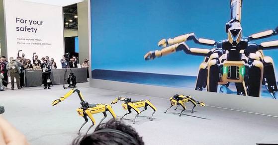 지난 5일(현지시간) 미국 라스베이거스 라스베이거스켄벤션센터(LVCC)에서 개막한 'CES 2022' 전시장 내 현대차 부스에서 보스턴다이내믹스가 개발한 로봇개 '스팟' 3마리가 방탄소년단(BTS) 음악에 칼군무를 선보이고 있다. 정의선 현대차그룹 회장은 보스턴다이내믹스 지분 20%를 보유하고 있다. [연합뉴스]
