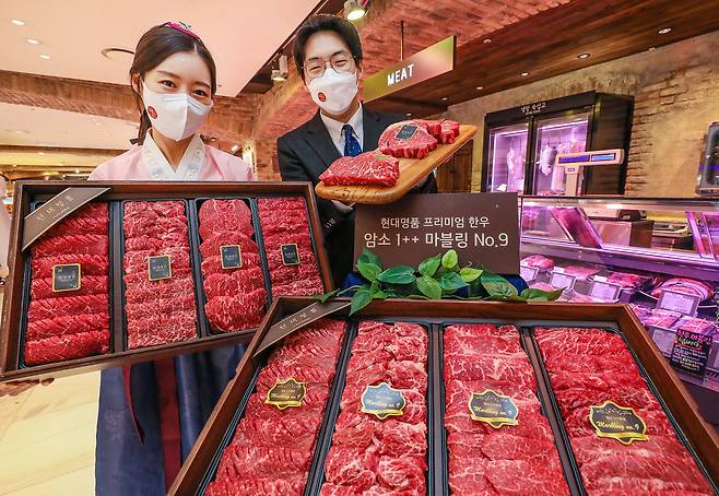 현대백화점이 오는 14일부터 31일까지 설 선물세트 본판매를 진행한다. [현대백화점]