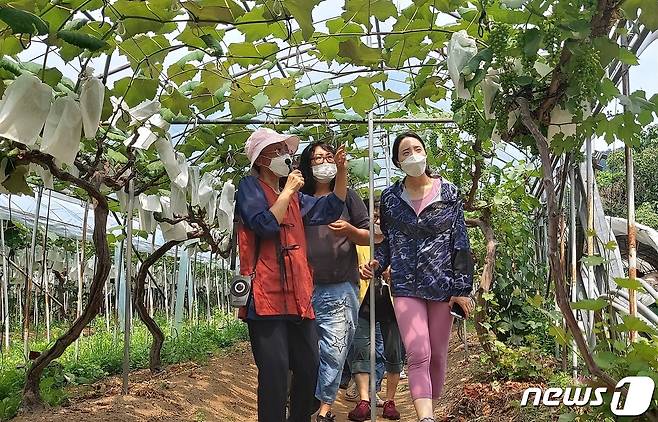 경기도농업기술원이 ‘2022년도 제12기 경기농업대학 교육생’ 100명을 모집하고 있다. 사진은 경기농업대학 현장교육 모습.(경기도농업기술원 제공)/© 뉴스1