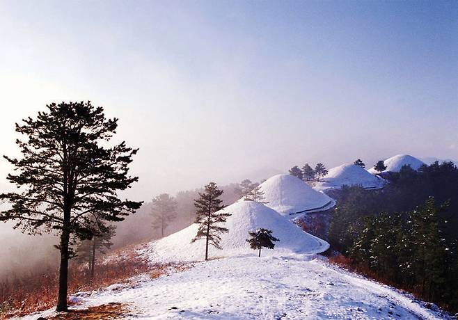 경북 언택트 23선 중 고령 지산동고분군