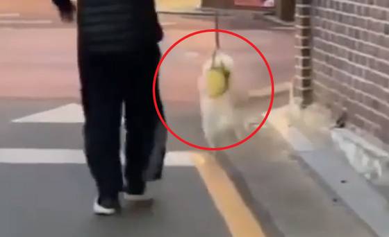 [케어 페이스북 캡처]