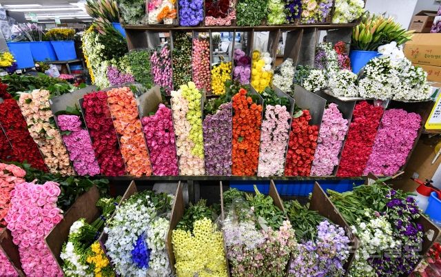 10일 서울 서초구 양재동 화훼공판장의 생화 꽃 도매시장에서 꽃들이 판매되고 있다.