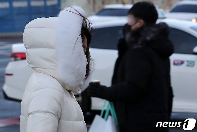 한파 자료사진. /뉴스1