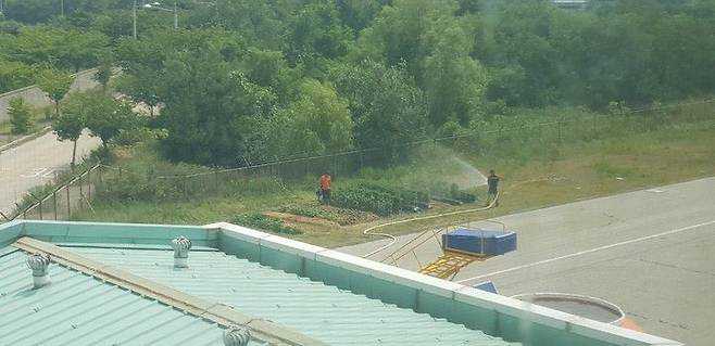 소방대원들이 근무 중 화재 진압 장비인 소화전 및 소방 호스를 사용해 농작물에 물을 주는 모습. /소방을사랑하는공무원노동조합