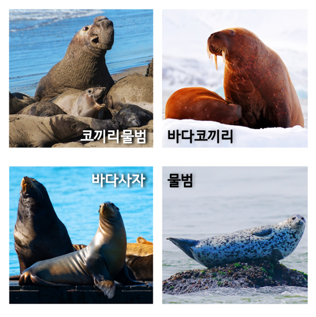 ⓒ게티이미지뱅크, 이상규