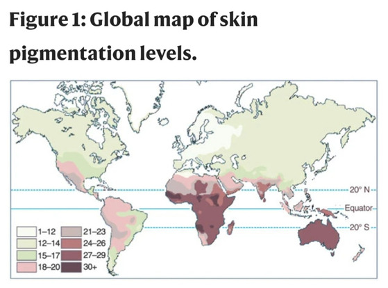 Korea's largely homogenous population shares a relatively light skin color, but applying even lighter makeup is often the desired look. [DENNIS O'NEIL/PALOMAR COLLEGE]