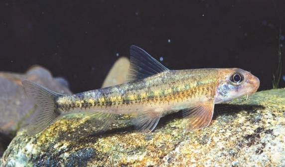 여울마자 *재판매 및 DB 금지