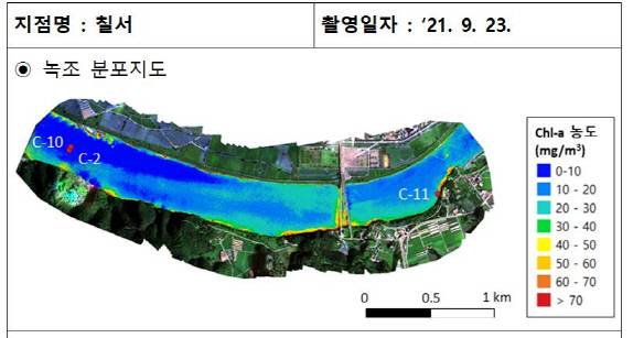 드론 활용한 녹조 분포지도 *재판매 및 DB 금지