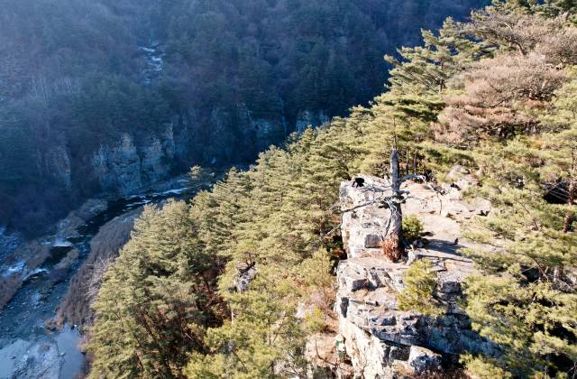 몰운대는 아래서 올려다보는 것보다 위에서 아래를 내려다 보는 풍경이 더 극적이다. 사진 오른쪽 고사목 뒤로 한 여행객이 벼랑 끝에 엎드린 채 아래를 내려다 보고 있다.