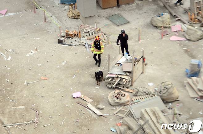 12일 오후 광주 서구 화정동 신축 아파트 붕괴 사고 현장에서 소방당국 관계자들이 수색견을 투입해 수색을 하고 있다. 해당 신축 아파트에서는 전날 오후 3시46분쯤 외벽이 붕괴돼 작업 중이던 6명이 실종됐다. 2022.1.12/뉴스1 © News1 정다움 기자