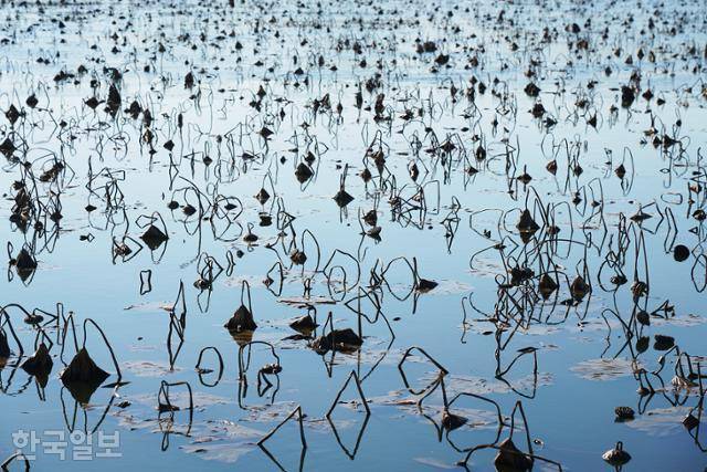 하고저수지의 연대가 수면에 비쳐 데칼코마니 작품을 빚었다.
