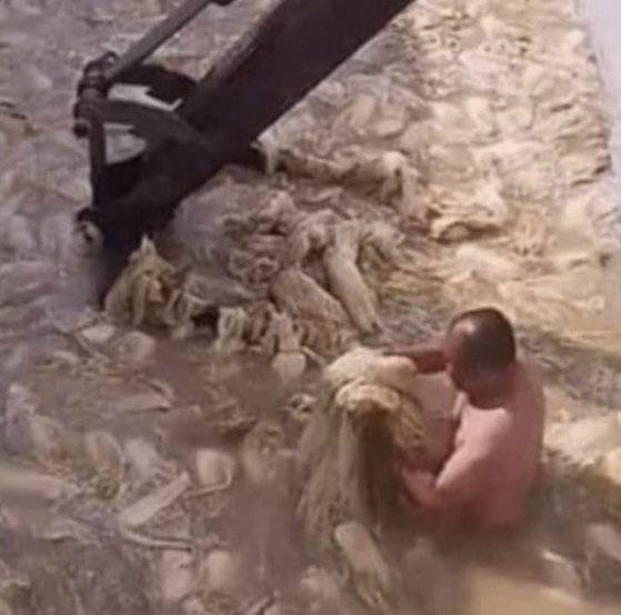 지난해 논란이 된 중국의 '알몸김치' [서경덕 교수 페이스북 캡처]