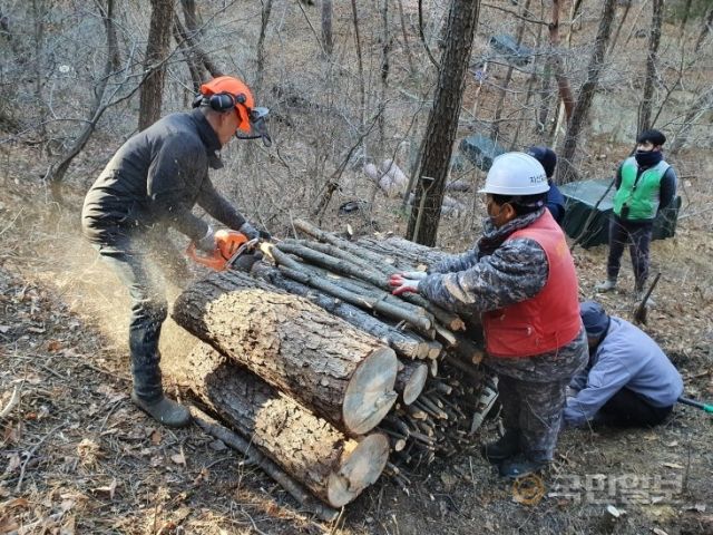 경북 포항시는 건강한 산림 회복을 위해 3월 말까지 소나무재선충병 방제 사업을 추진한다. 포항시 제공