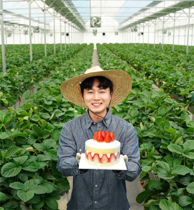 충청남도 논산시에 위치한 비타베리 재배 농가에서 청년농부 박태준씨가 비타베리를 활용한 파리바게뜨 케이크를 들고있다. [사진 제공 = SPC그룹]